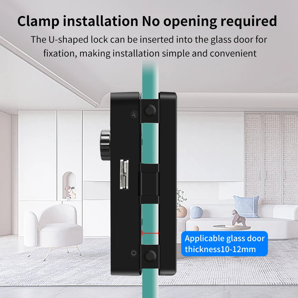 WIFI 3D Face Smart Lock for Glass Door with Camera Fingerprint Face Recognize Card Password Biometric Key App Unlock