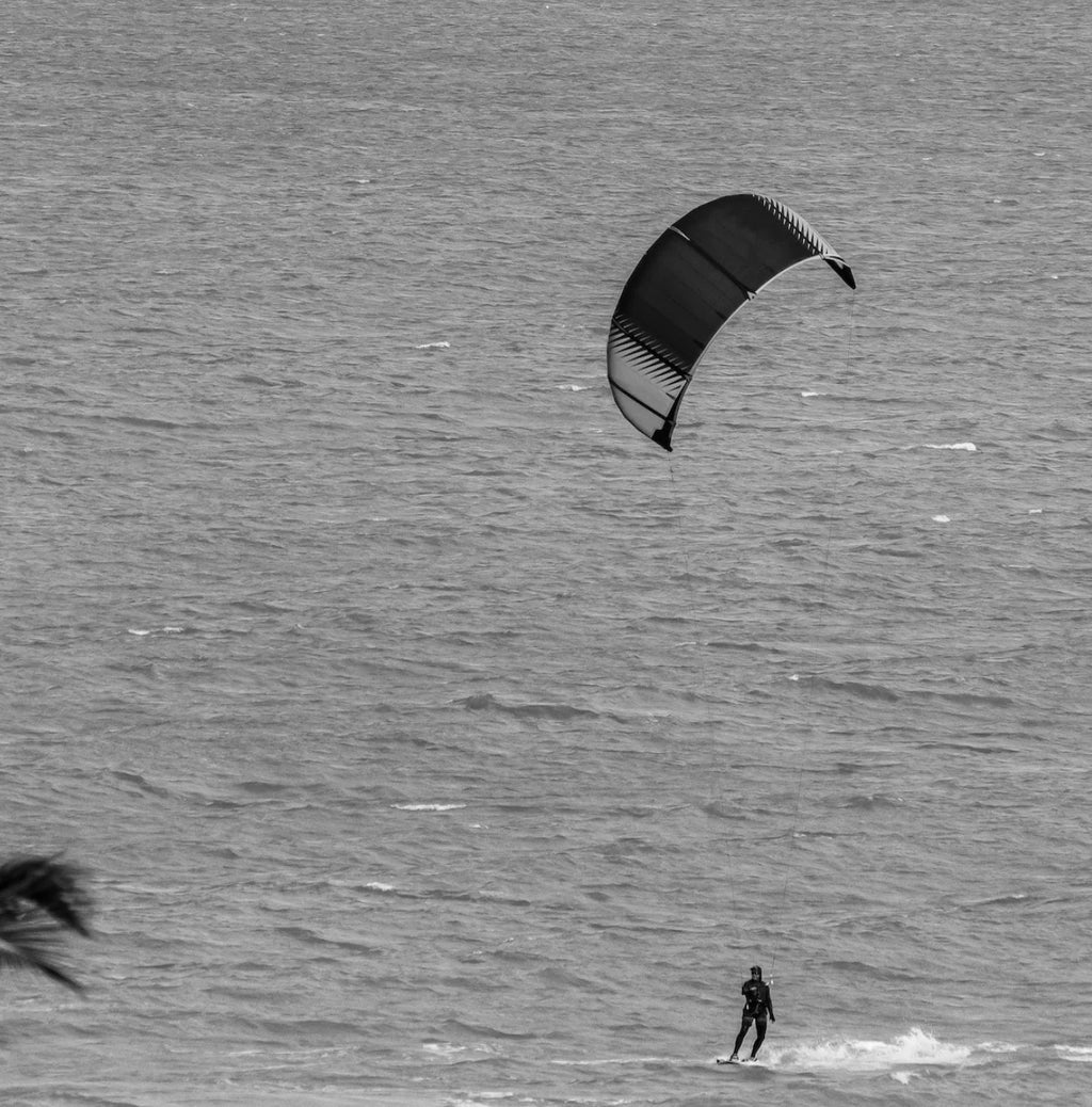 SP1606 FREE FLIGHT Salesdeal New Outdoor Watersports Surfing Kites 10m-14m Kite for Kiteboarding and Kitesurfing
