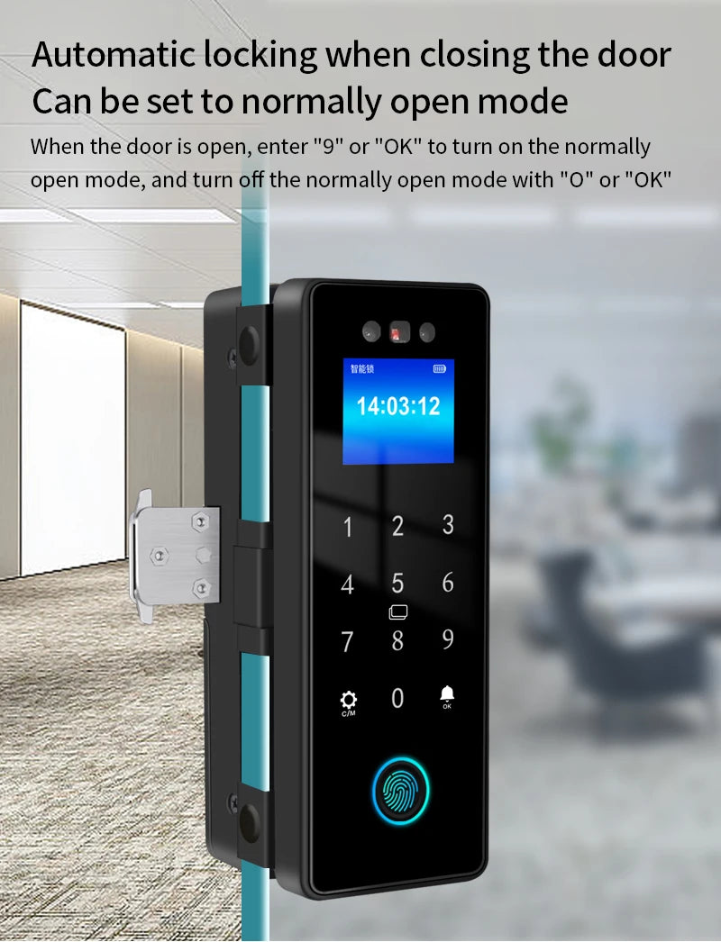 WIFI 3D Face Smart Lock for Glass Door with Camera Fingerprint Face Recognize Card Password Biometric Key App Unlock