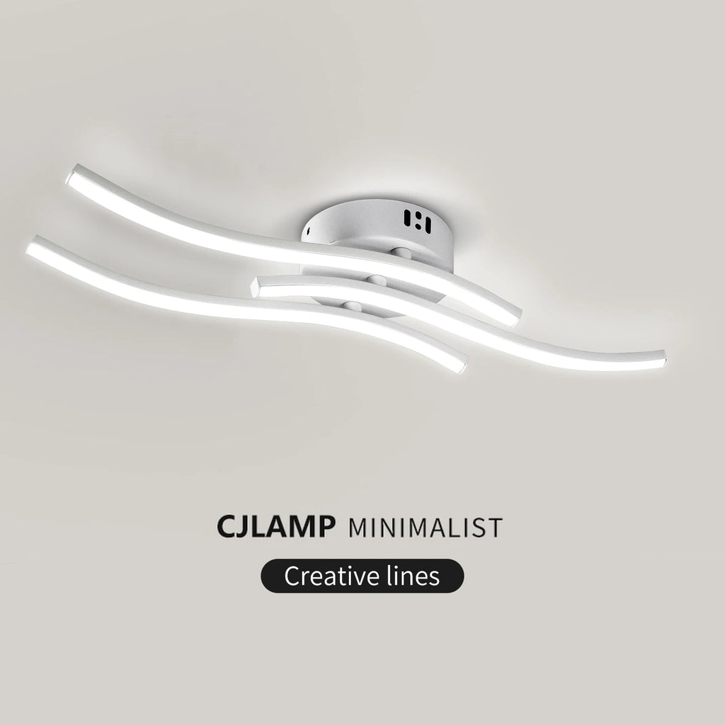LED Ceiling Light, Dimming Light, Living Room, Bedroom, Dining Room, Corridor, Indoor Home Decoration Lighting