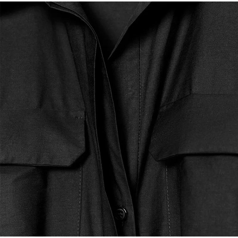 Elegant Belt Women Long Black Dress Full Sleeve Pleated Lapel Waist-Closed Female  A Line Dresses 2026 Spring Lady Robes New