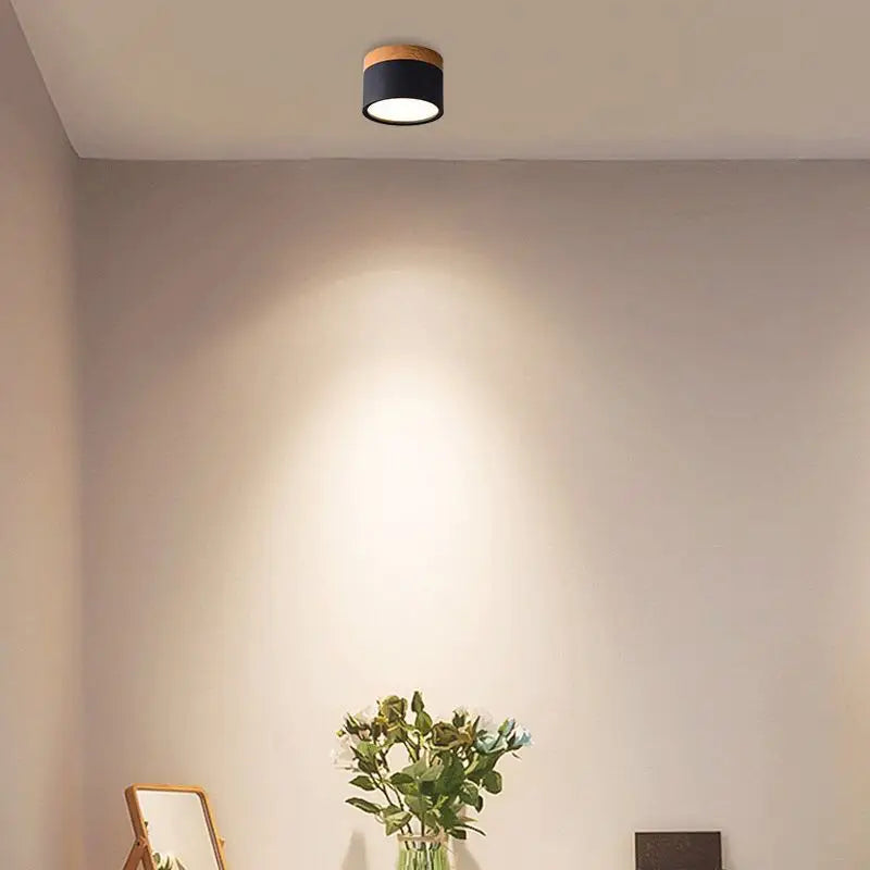 Led Ceiling Downlight Dimmable Surface Mounted Ceiling Lamp Wood Modern Light Spotlight Bedroom Living Room Homekit Bbulb AC220V