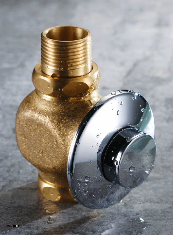 Concealed Push Button Toilet Flush Valve Full Brass Material